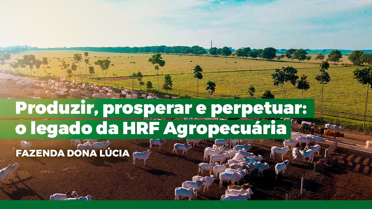 As arrobas que v&ecirc;m dos dados