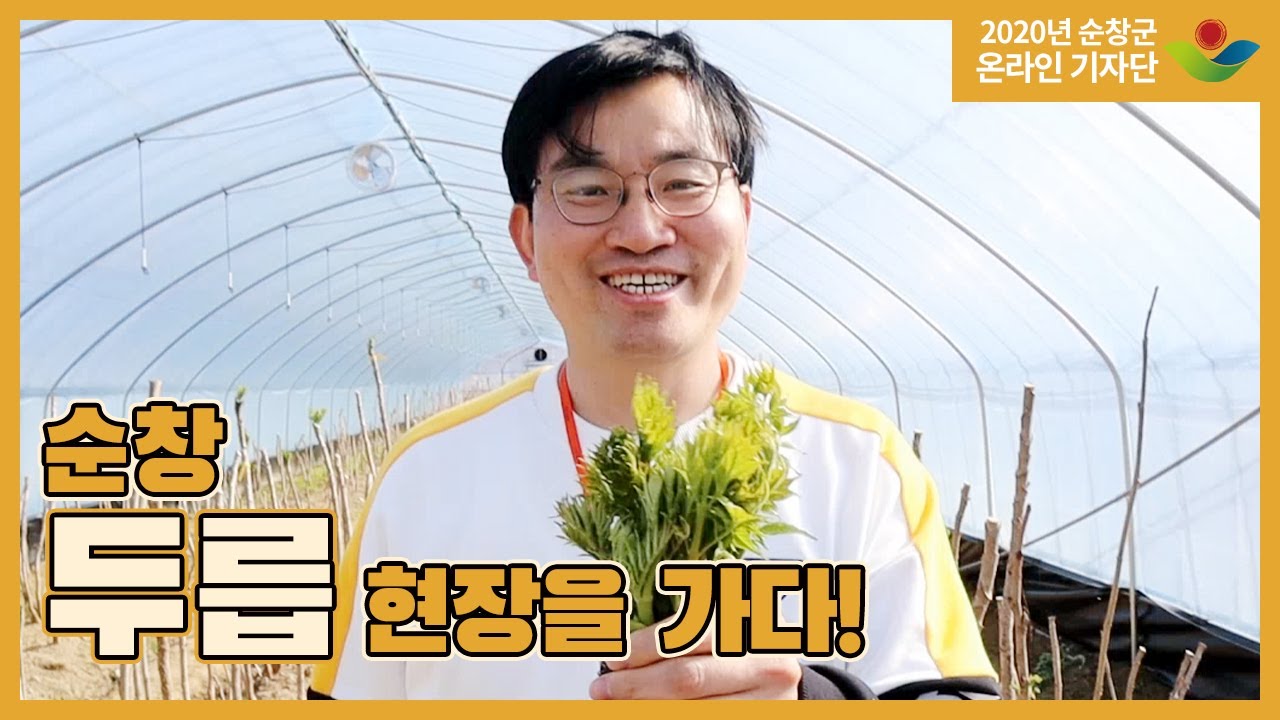 순창에서 유명한 두릅두릅 참두릅!