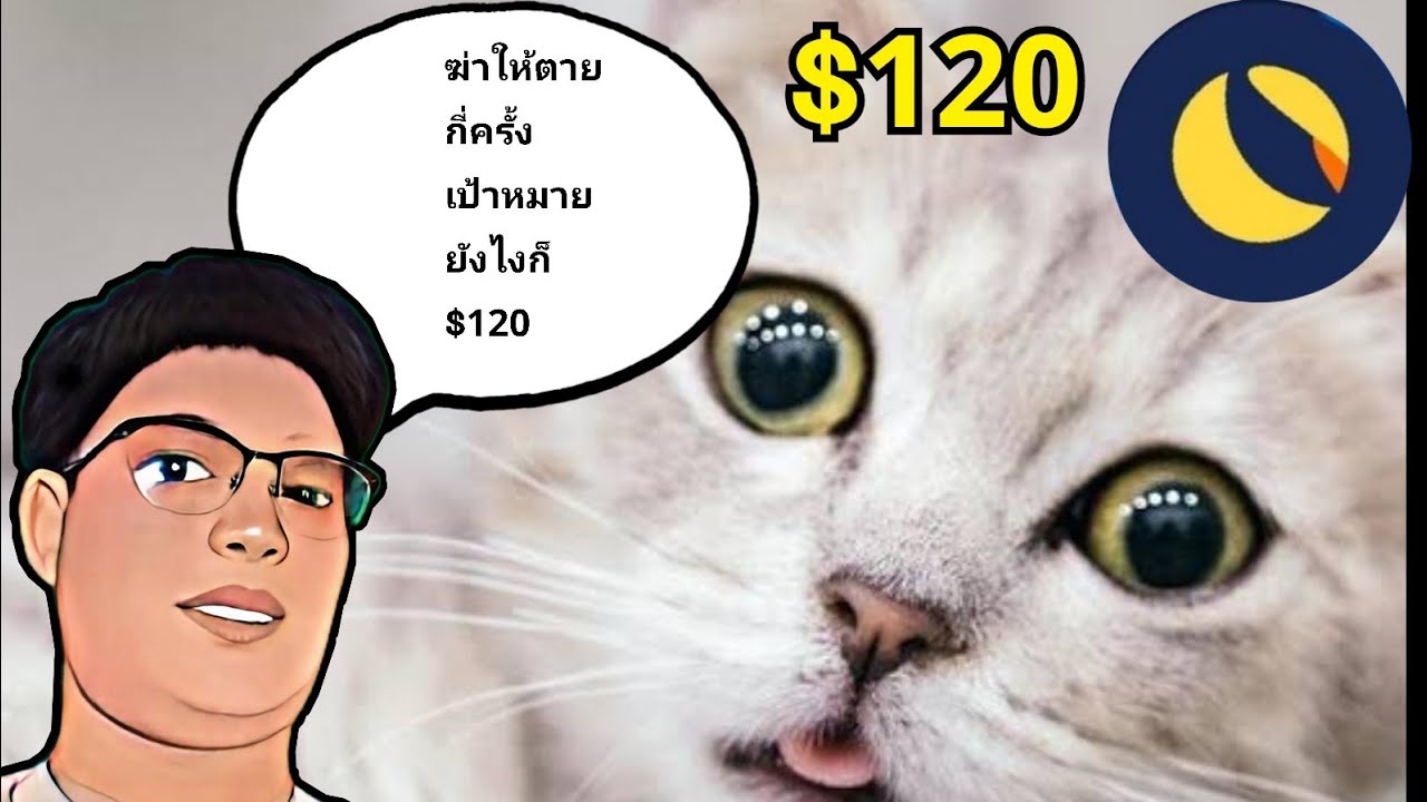 LUNC MOON 9 ชีวิต ไม่ว่าจะตายกี่ครั้งเป้าแรกคือ $120 เหมือนเดิม!?