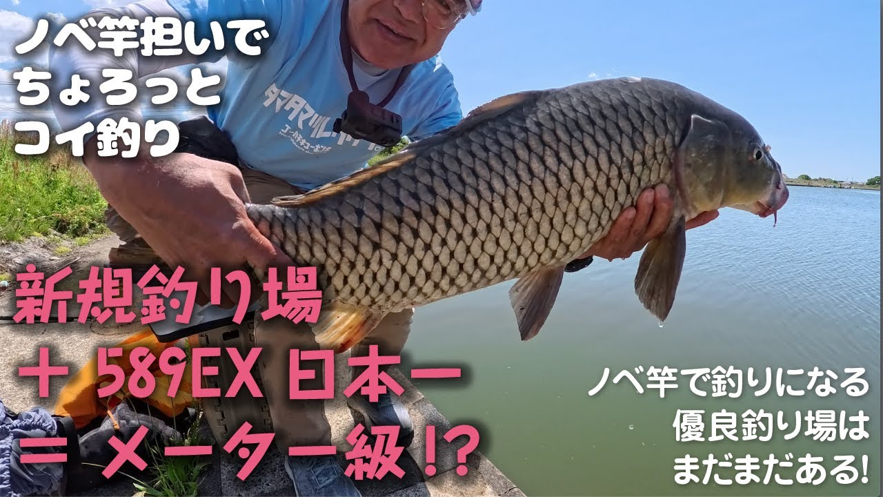 【のべ竿担いで】お初の場所でメーター級キャッチ！【ちょろっとコイ釣り】
