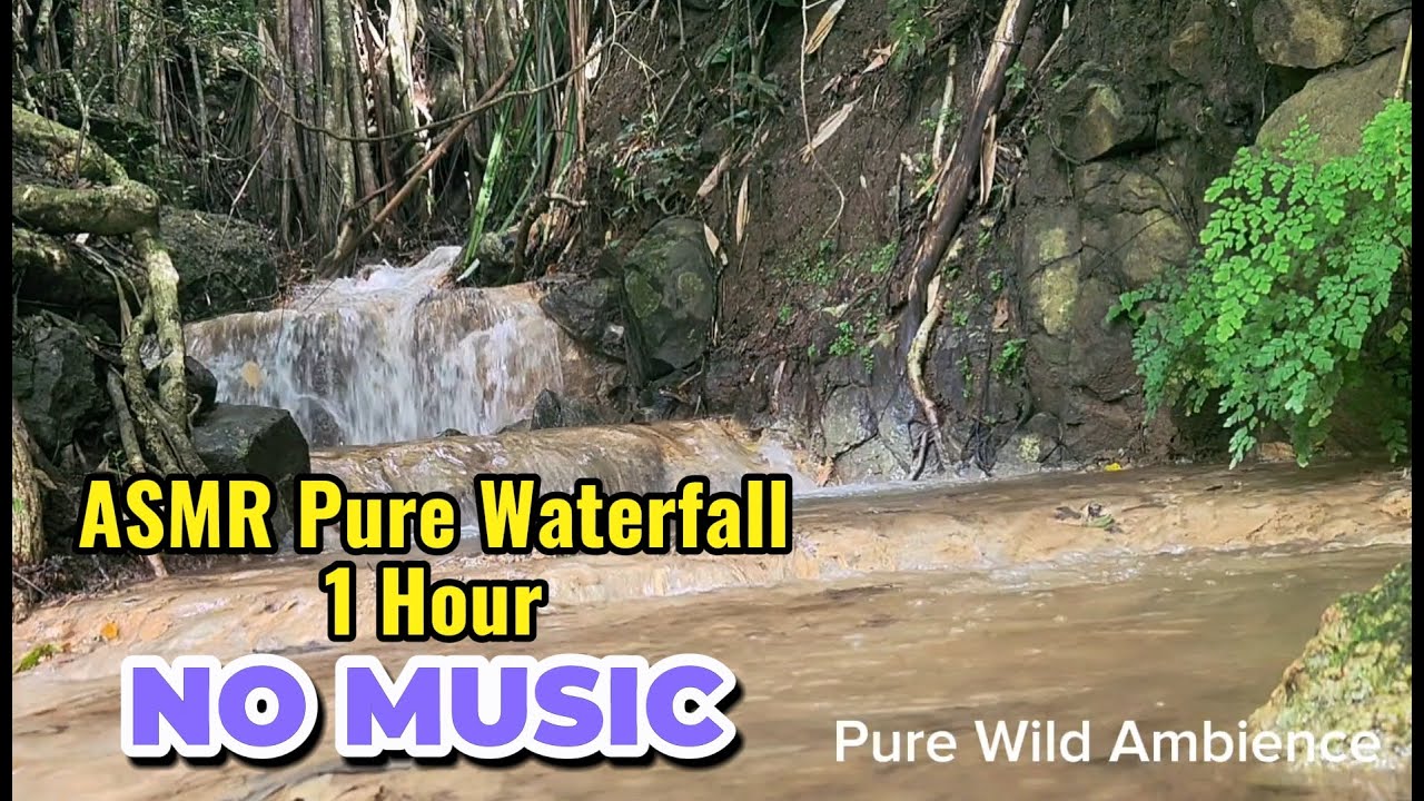 Hidden Paradise: HD Waterfall Ambience - Pure Nature Sounds for Home Sanctuary. #natureasmr #water
