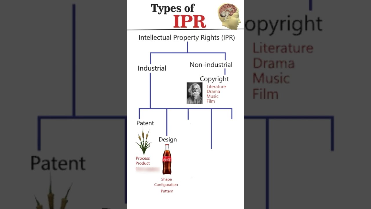 Types of Intellectual Property Rights (IPR) #competitiveexams
