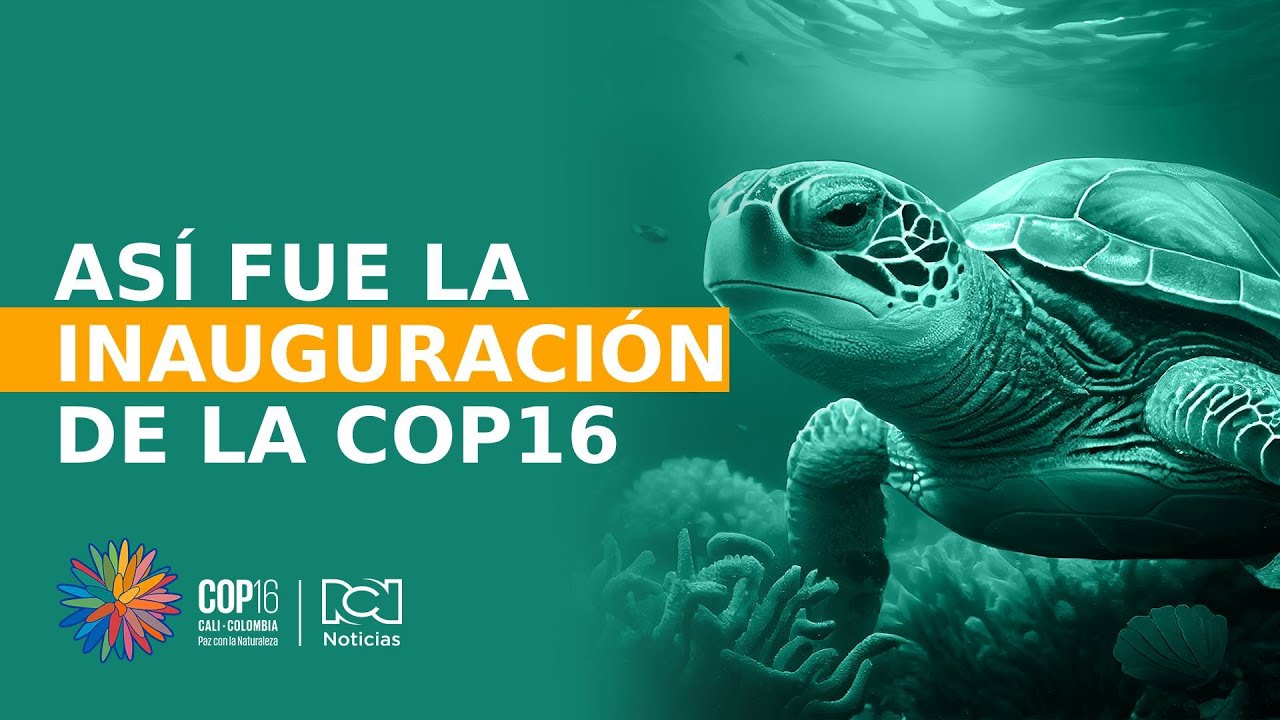 Así fue la inauguración de la COP16 en Cali: artistas, comunidades y naturaleza
