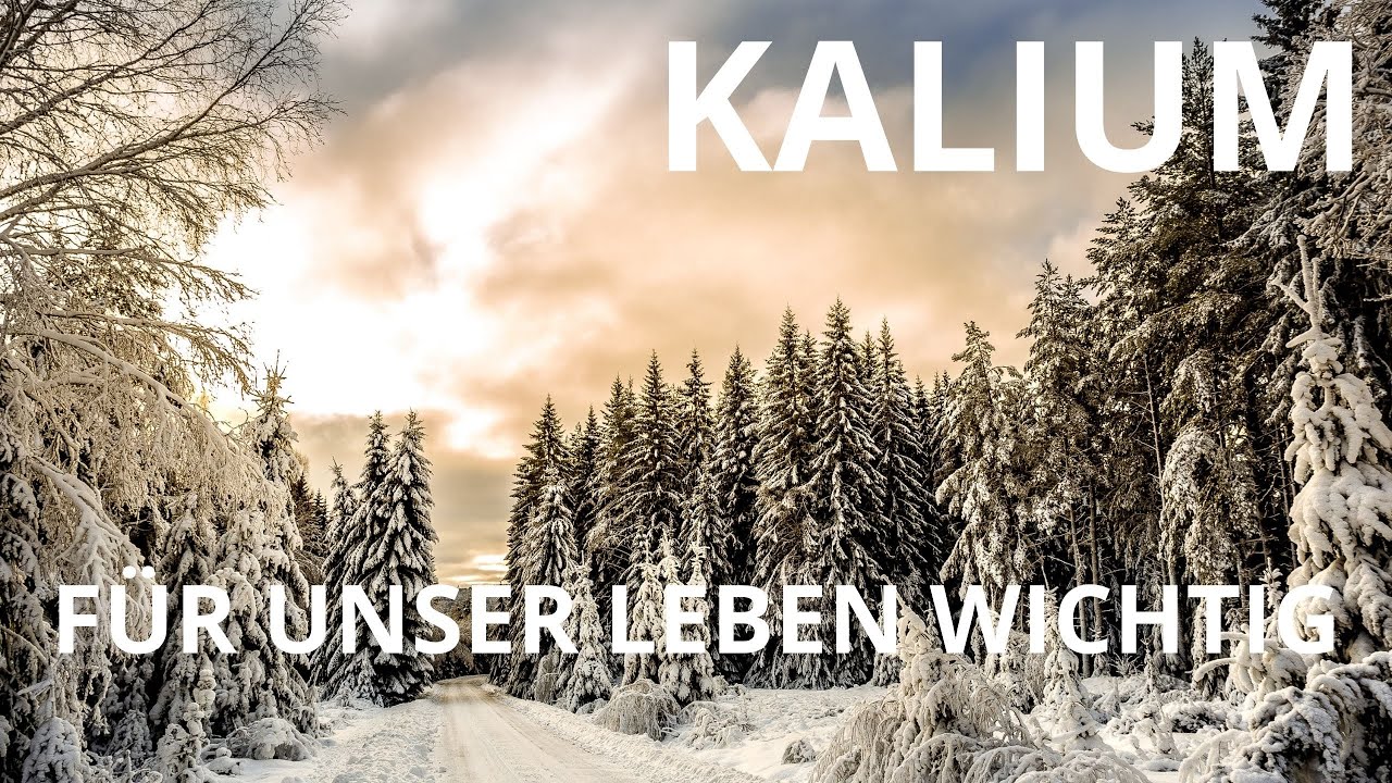 Kalium - wichtig f&uuml;r unser Leben