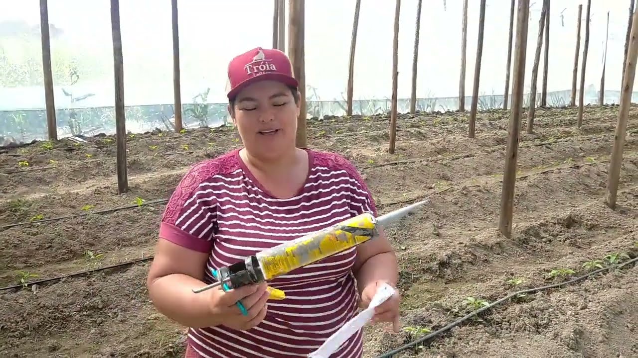 Quanto gastamos pra fazer nossa estufa Londrina??🍅🥒🍅🥒🌶️🌶️🍅🥒