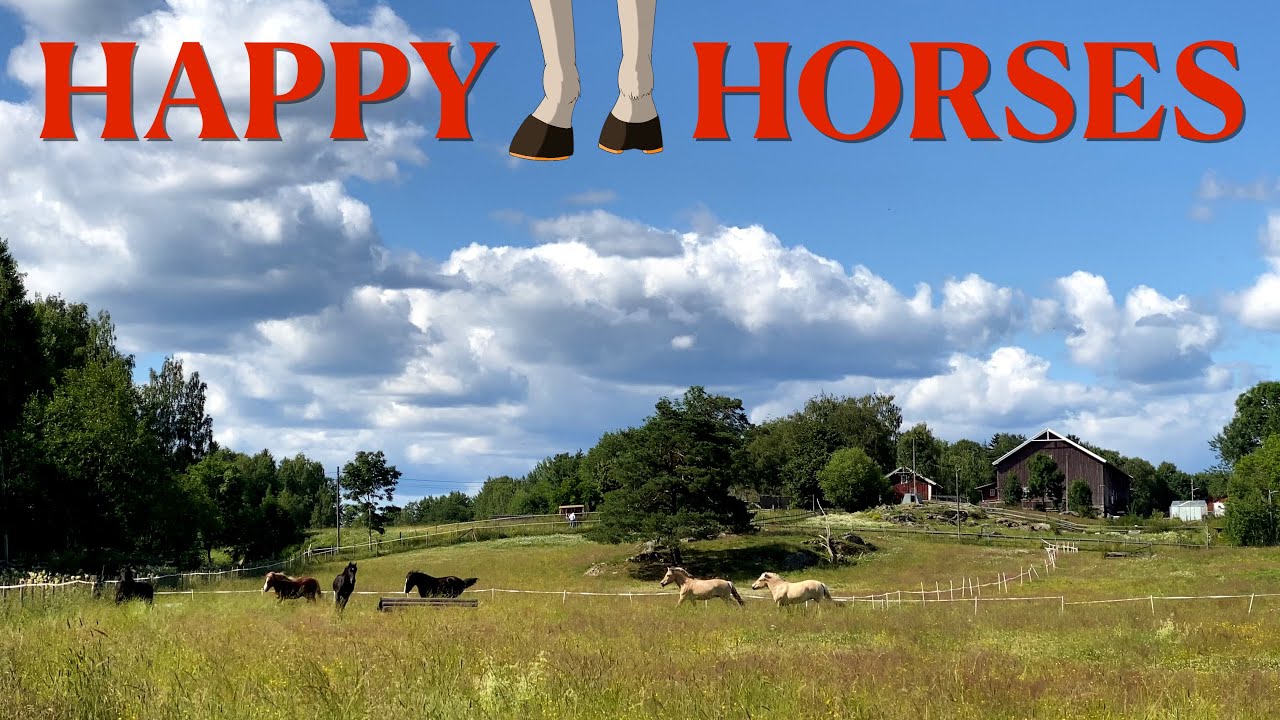 Happy horses
