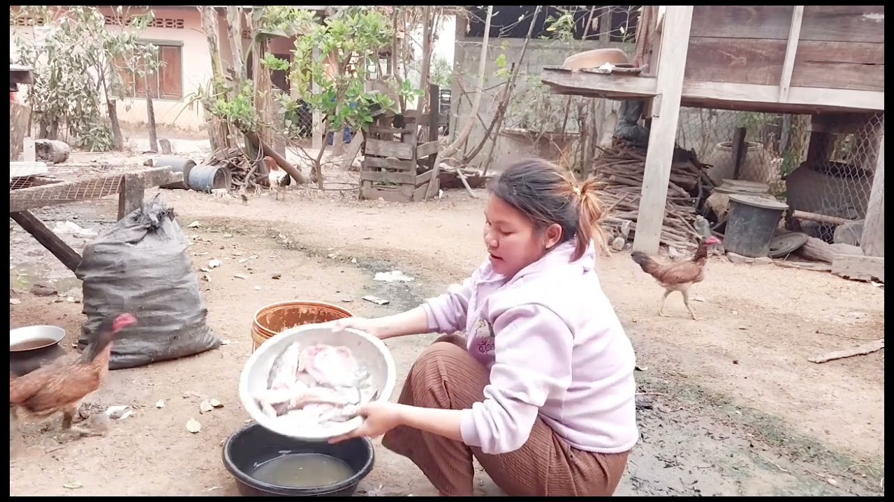 24 กุมภาพันธ์ ค.ศ. 2026