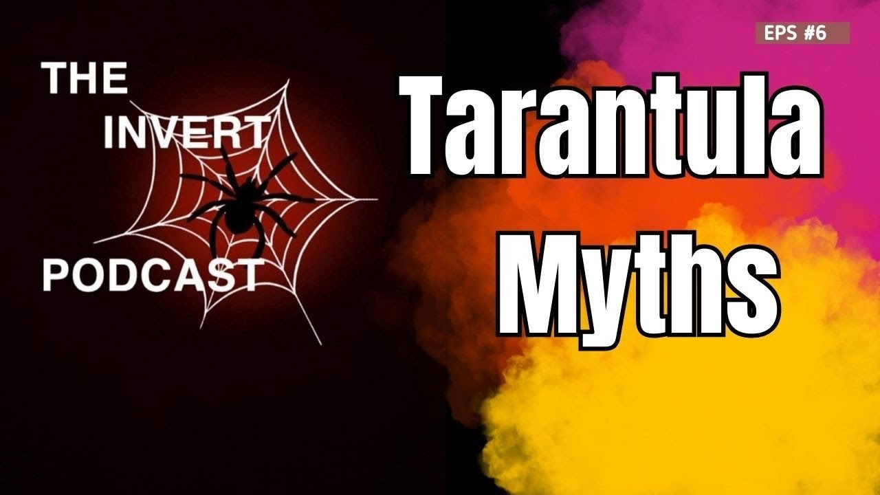 The Invert Podcast | EPS 6 | Tarantula Talk | Myths and Legends
