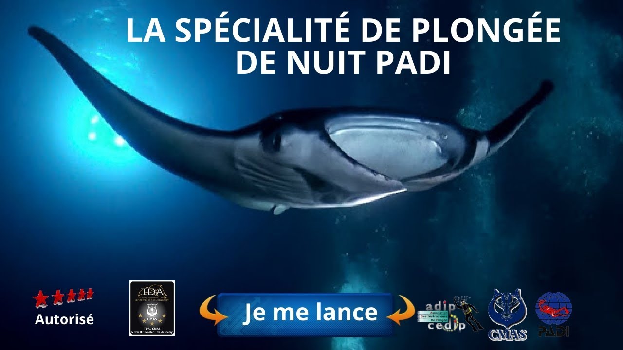 Специальность PADI Night Scuba, таинственные стороны и множес...