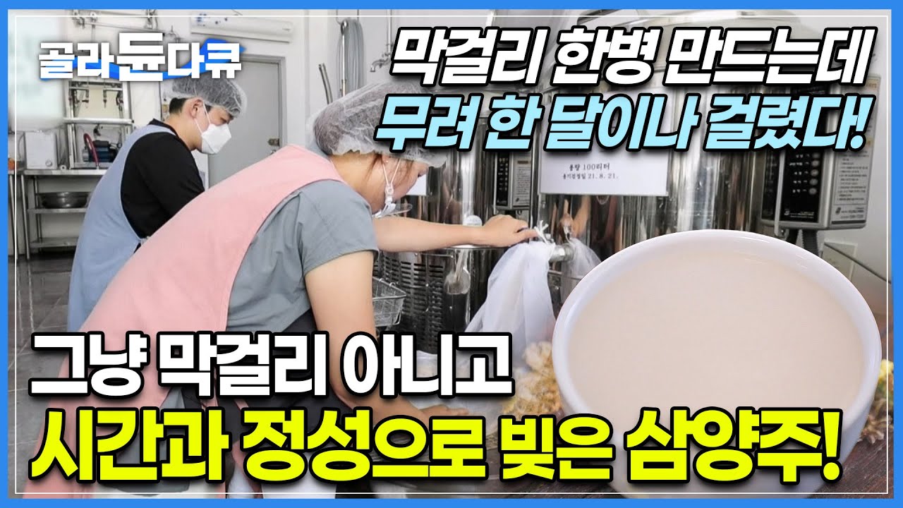그냥 막걸리가 아니라 세 번에 걸쳐서 빚은 술 ‘삼양주’┃한 달이라는 시간과 정성이 들어가 더욱 맛있는 전통주┃양평에서 나는 친환경 재료로 만든 국화 막걸리┃고향민국┃#골라듄다큐