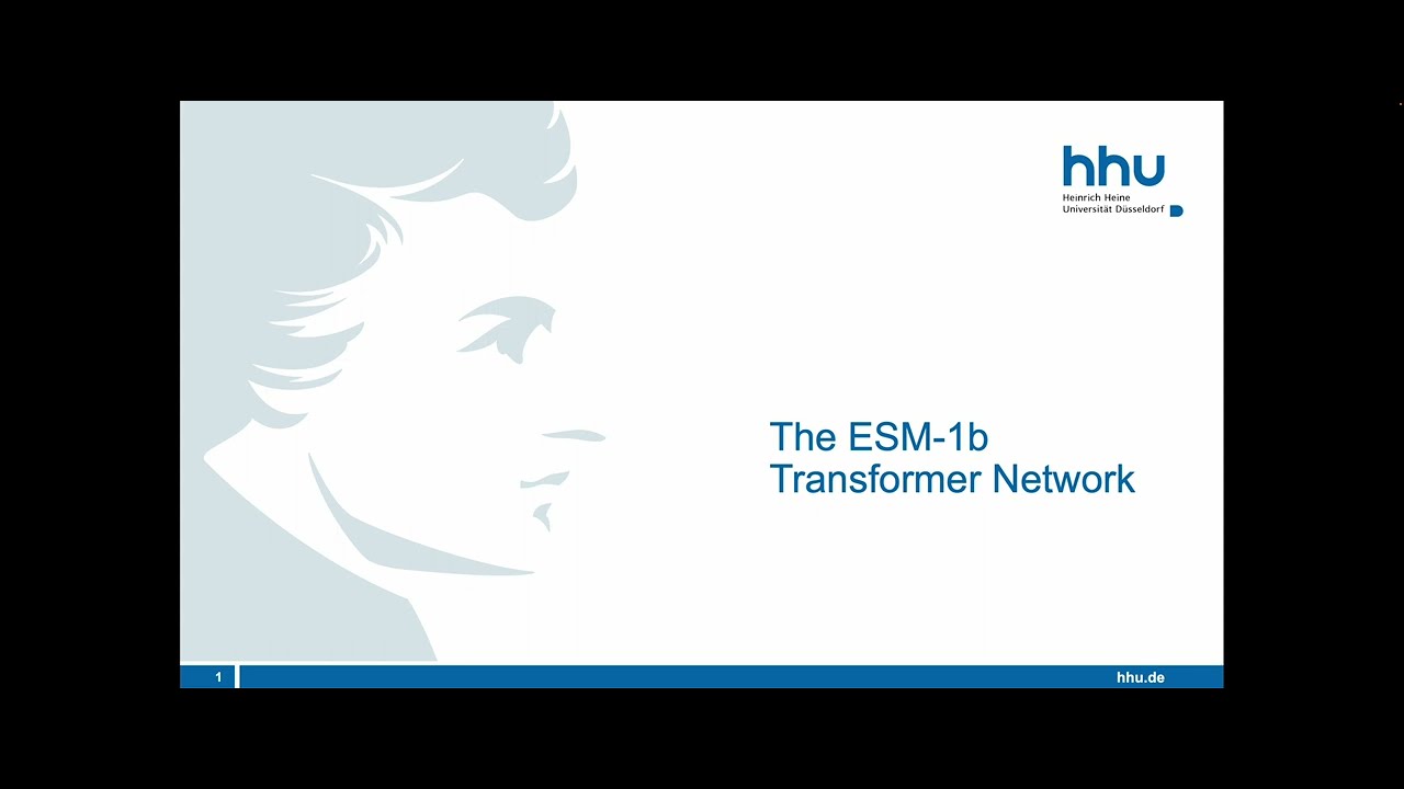 3.4 The ESM protein language models