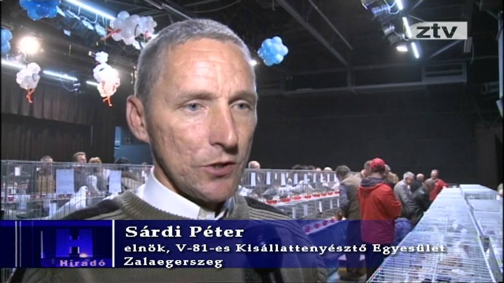 Díszgalambok és kisállatok a Keresztury VMK-ban
