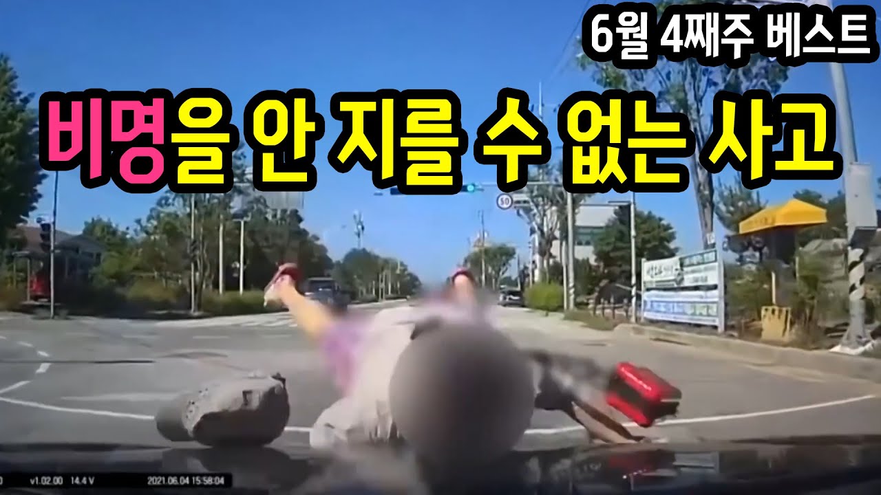 11485회. 갑자기 튀어나오면 너무 놀라잖아요.. [2021년 6월 4째주 주간 베스트]
