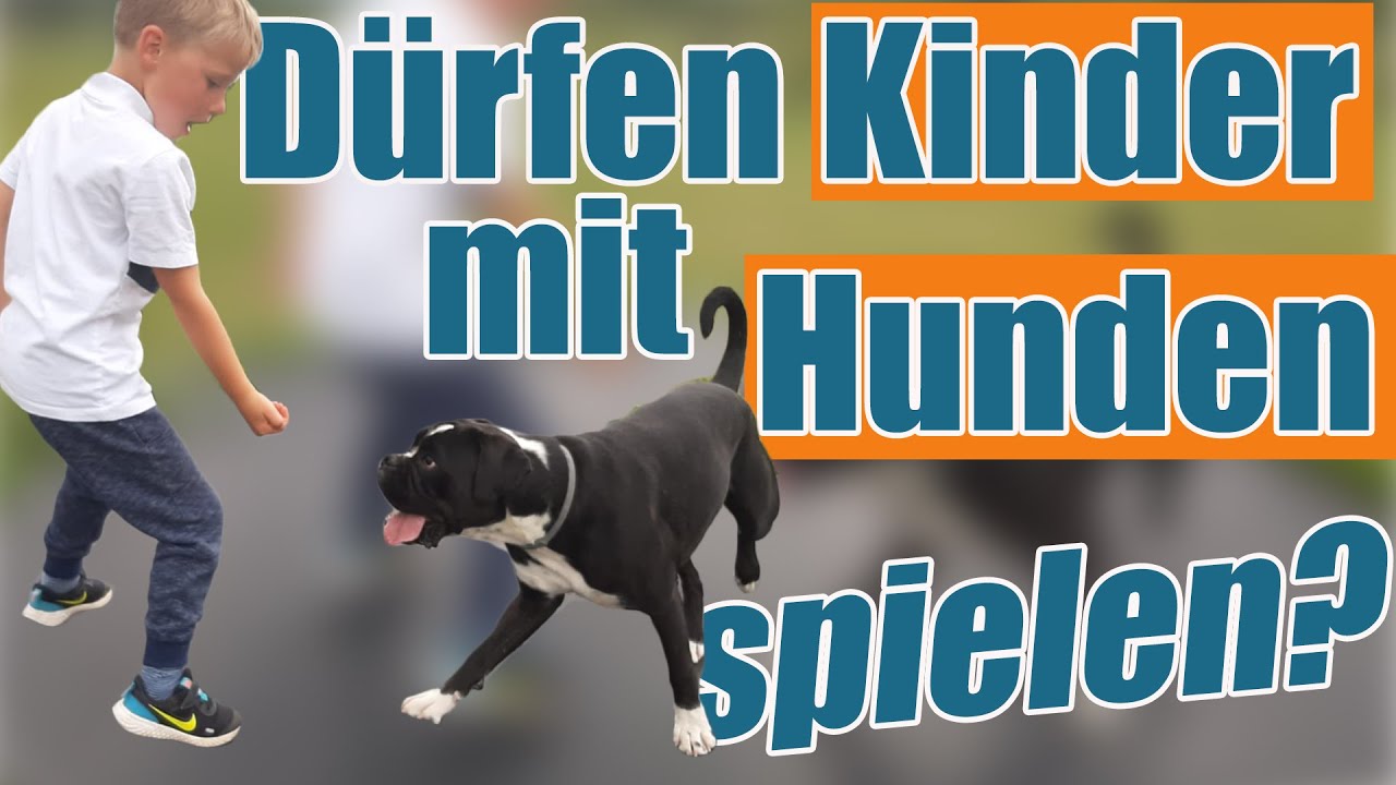 Zusammenleben mit Kind und Hund, was sollte man beachten?