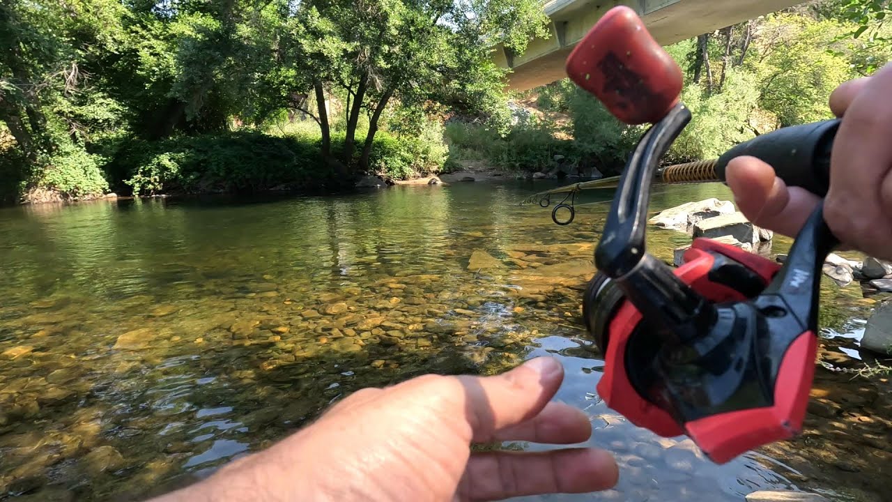 Are Lake Camanche Trout Escaping?? They're HERE!!