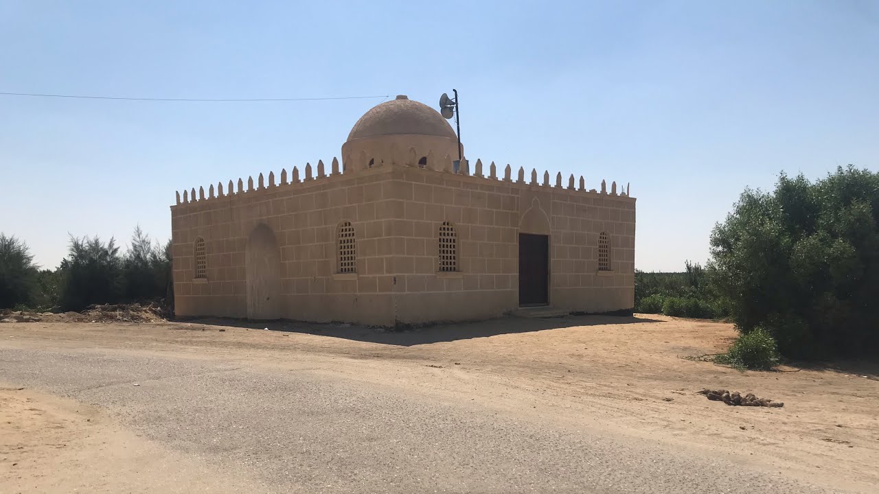 مزرعة نموذجية تصدير ٥٠٠ فدان في وادي النطرون من طريق مصر اسكندرية الصحراوي علي طريق اسفلت موقع متميز