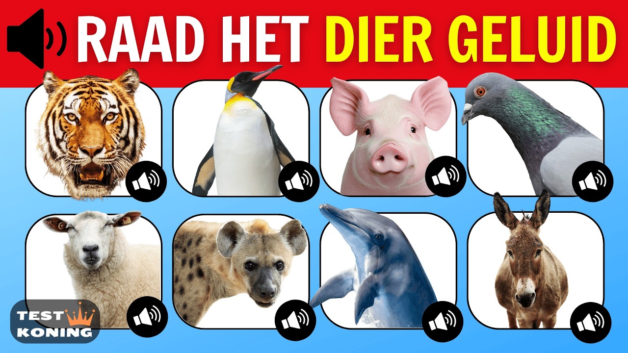 Dieren Geluiden Quiz 🐷 🐬 | Raad Het Dier Geluid 🔊🤔