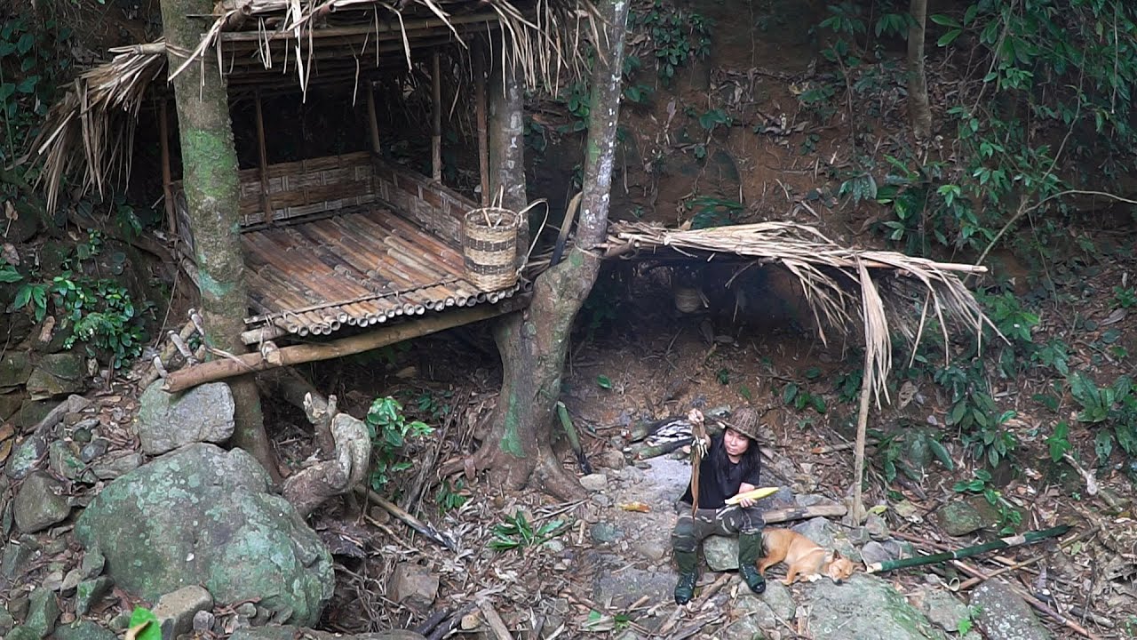 Сюрприз с Deep Forest Shelter, Wild Food, Catch and Cook: Survival Alone | ЭП.222
