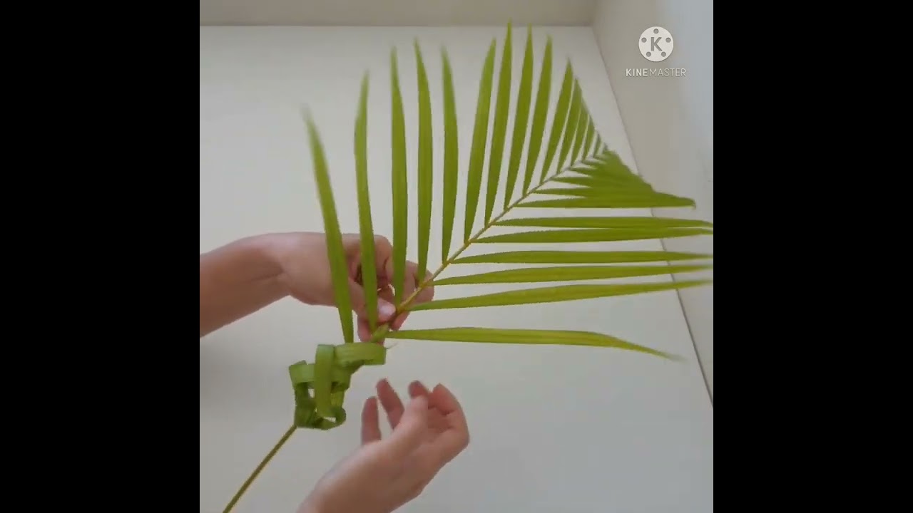 Anyaman Daun Palma Bentuk Rantai
