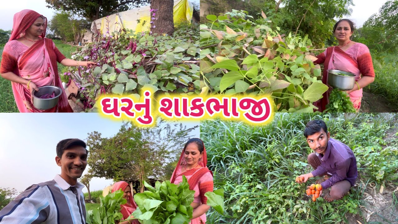 બધું ઘરનું તાજુ શાકભાજી 😋 || Life at Botad Village Vlogs 