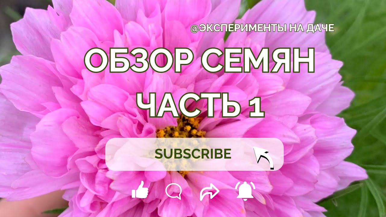 23 января 2026 г.