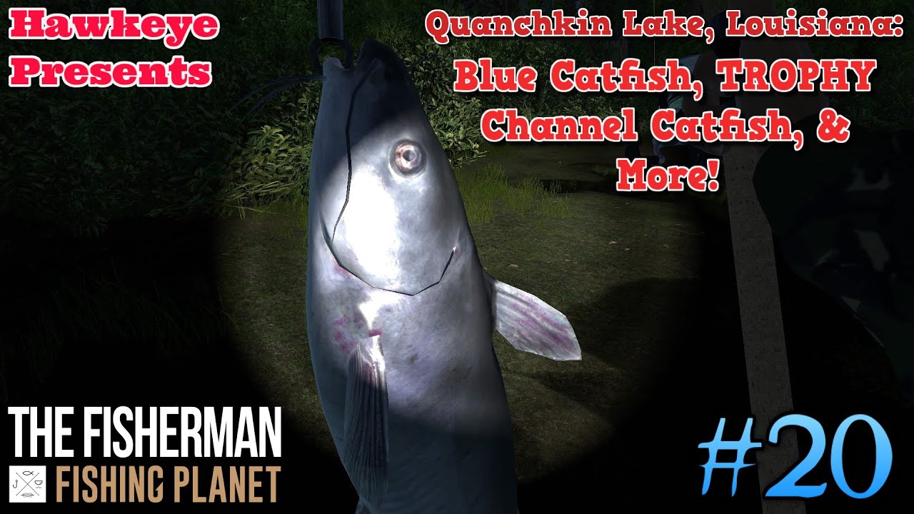 The Fisherman - Fishing Planet: Quanchkin Lake - Blue Catfish, TROPHY Channel Catfish & More!