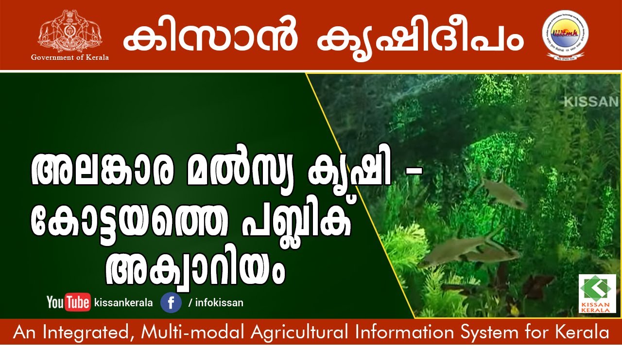 Feature on Ornamental Fish rearing : Fish Galaxy- Public Aquarium at  Nagambadam, Kottayam