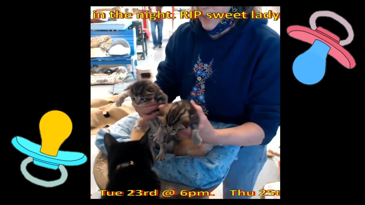 First Babys of 2021 -720p  (FOFRescueCenter)