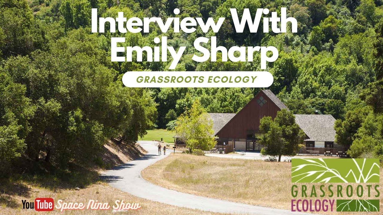 Interview: How Grassroots Ecology Empowers Local Change to Save Our Planet from the Ground Up