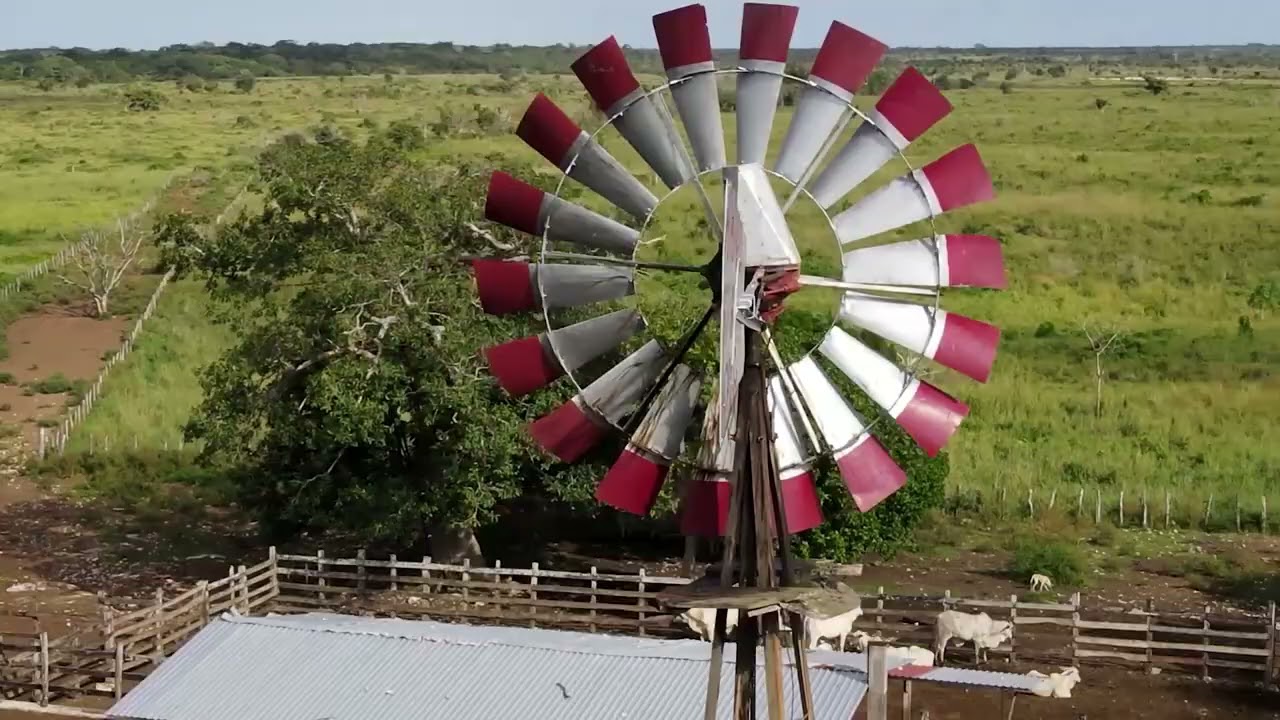 RANCHO 200 HECT TIZIMIN