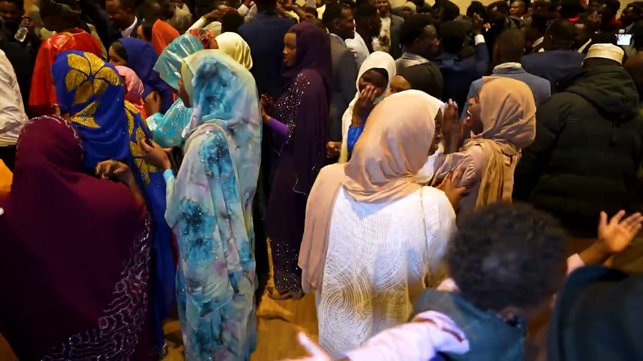 حفلة الزفاف سودانية للعرسين عبداللة تري و عبداللة أبابيل مع الفنانة نجوي 27 04 2024 !! Liverpool