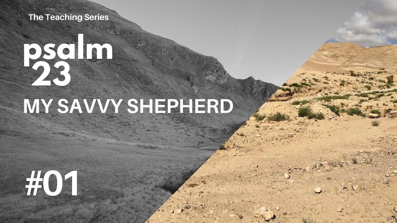 My Savvy Shepherd | Psalm 23 Pt 1 | EP034