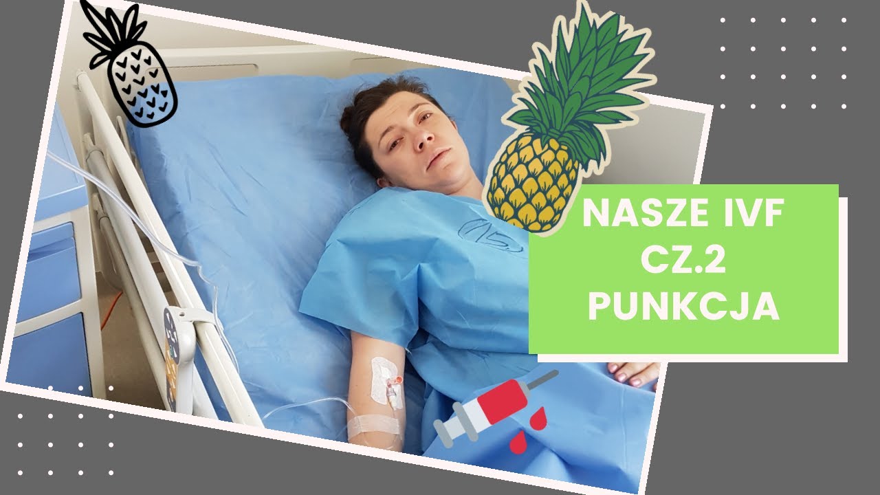 Jesteśmy rodziną wielozarodkową. Nasze in-vitro cz 2. Punkcja i rozwój zarodków. Zdradzę Wam sekret