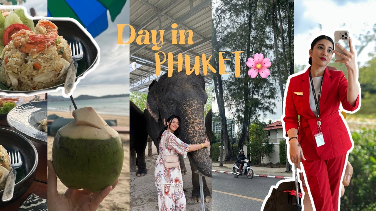 ||Phuket Layover Vlog|| Meeting Gentle Giants at the Elephant Sanctuary 🐘💛