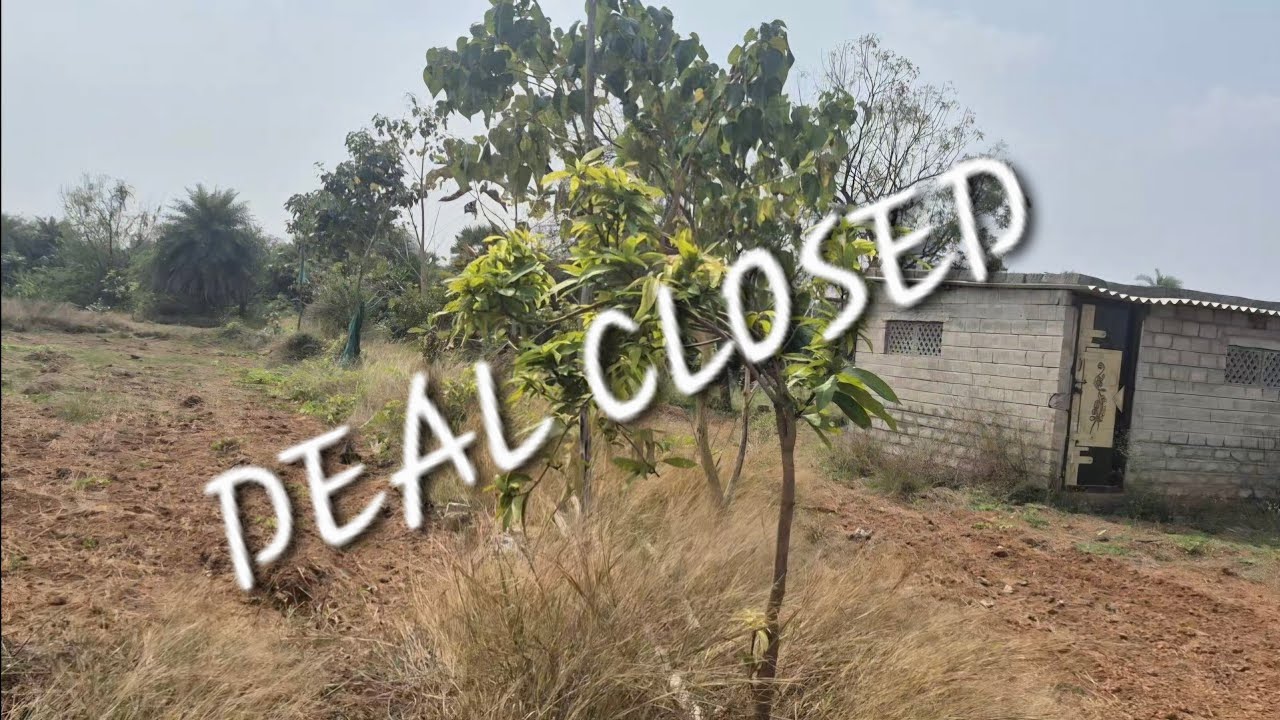 Established Farm Land for Sale, 1.4 Acres, Varikuntapadu,Nellore Dt,Ph:9493432626,9492942626