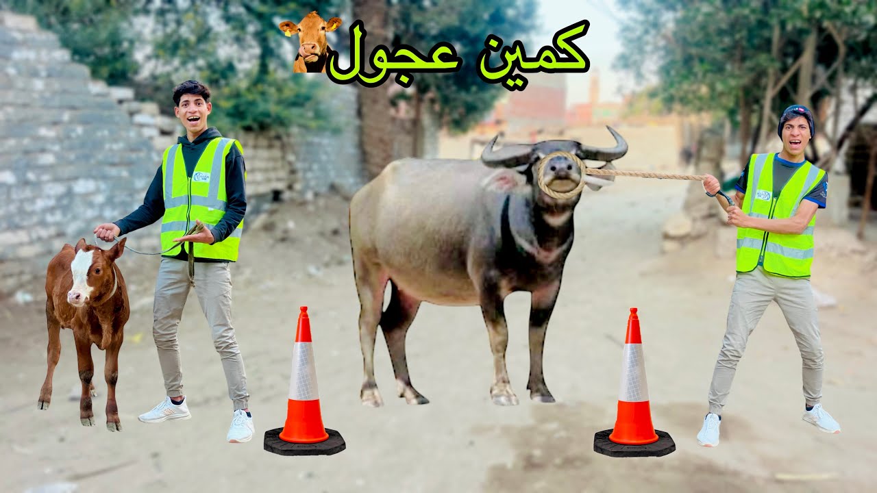 لما اخوك الصغير يعمل كمين شرطة للعجول والجموس في الشارع 🐄😂| علاء حسين