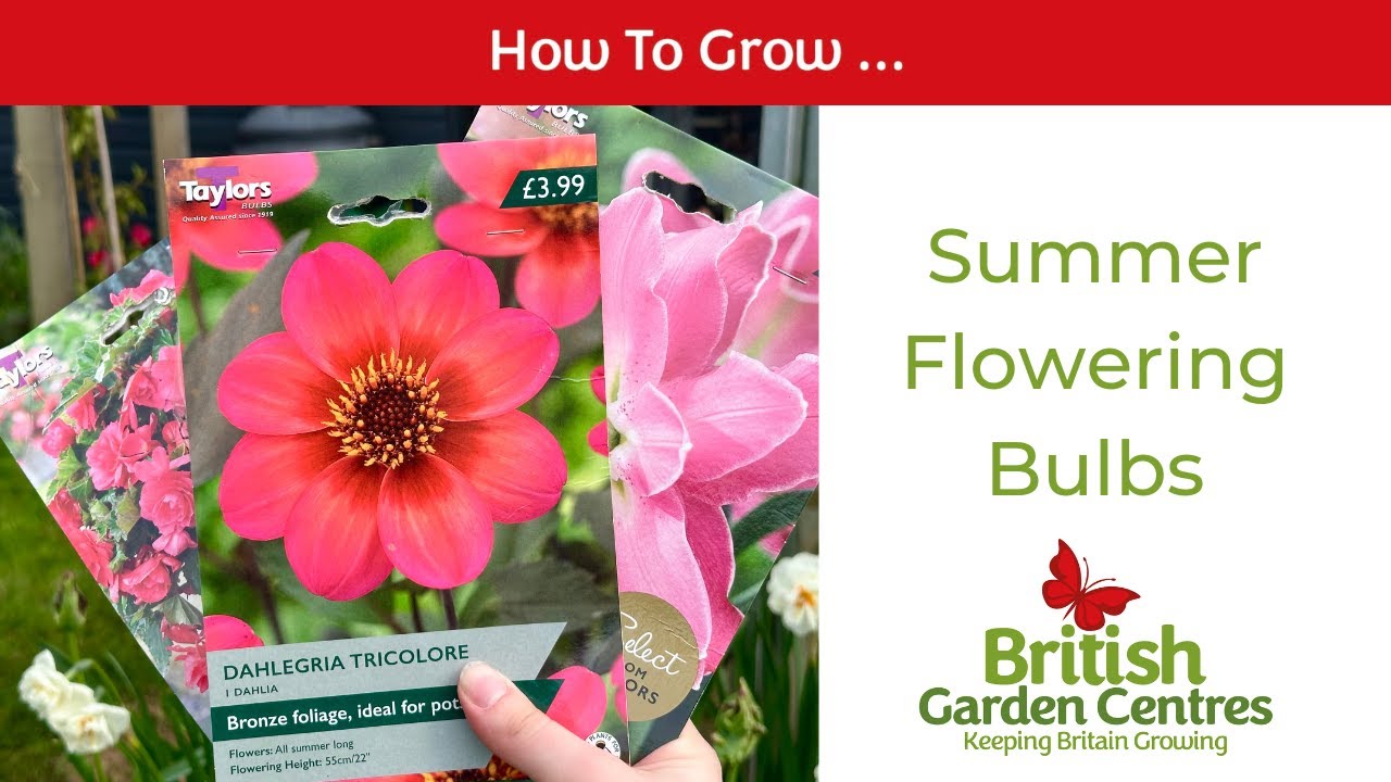 Planting Summer Flowering Bulbs