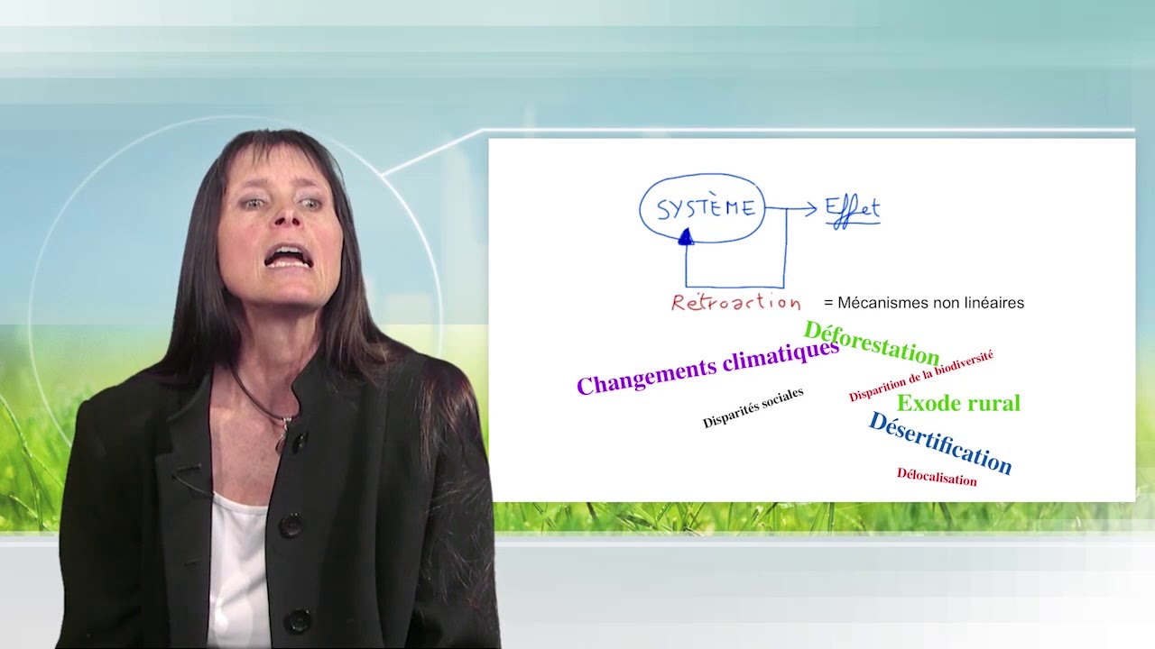La pensée complexe pas si compliquée