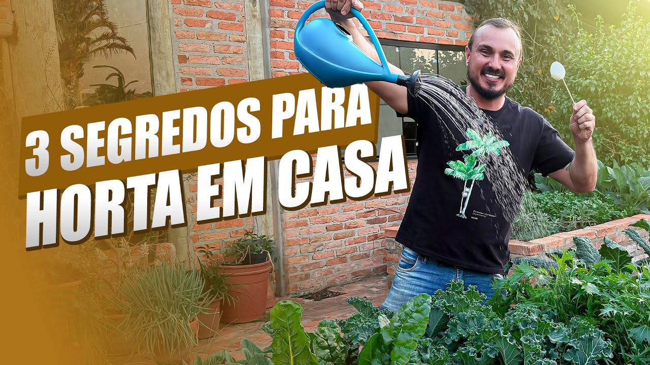 3 DICAS para ter uma HORTA CASEIRA super PRODUTIVA