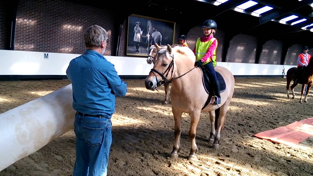 Schriktraining Manege De Steenen Kamer 28 april 2013