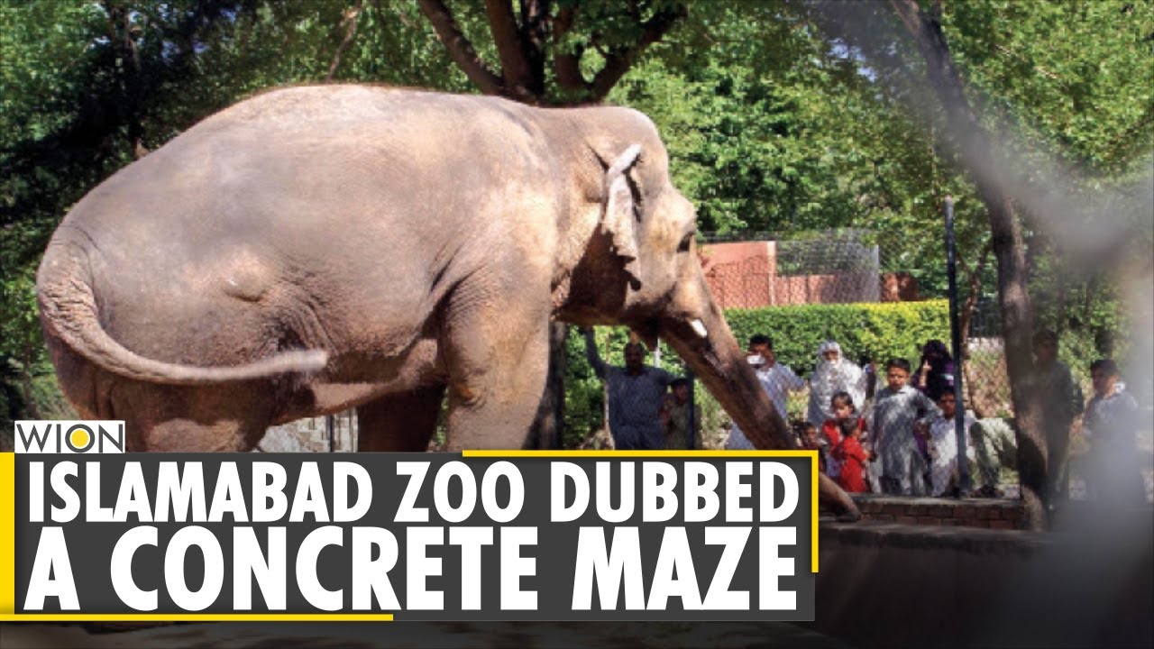 South Asia Diary: Pakistan revamps notorious Islamabad zoo
