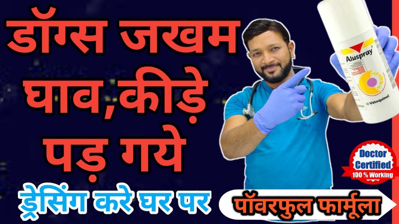 Dogs Wound Treatment At Home डॉग जखम का इलाज Dog Ko Zakham Per Kya Lagana Chahie In Hindi