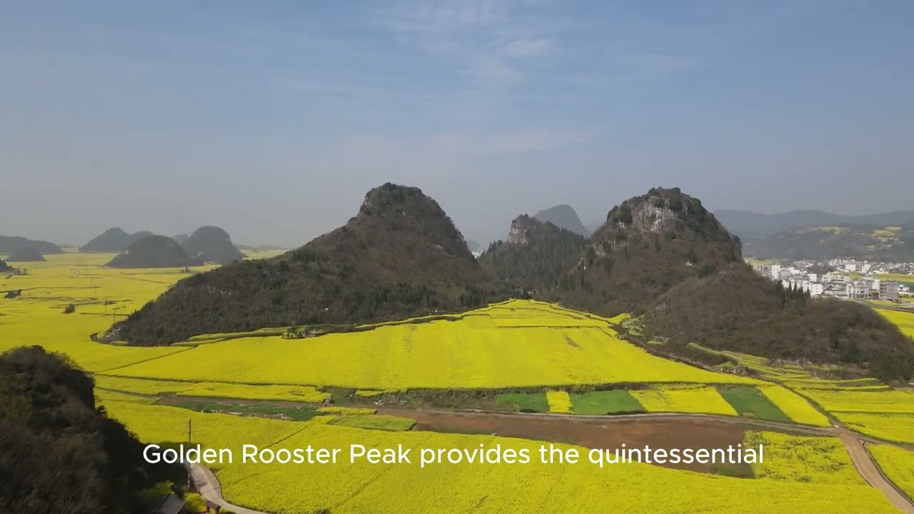 Luoping Canola Flower Fields & Nine Dragon Waterfalls