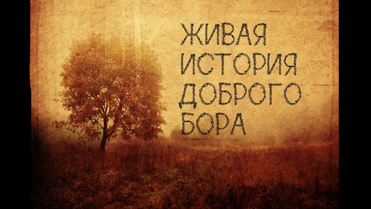 "Живая история Доброго Бора"