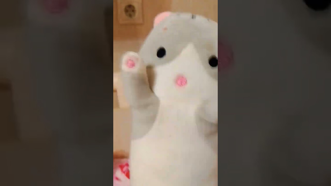 3 сентября 2024 г.