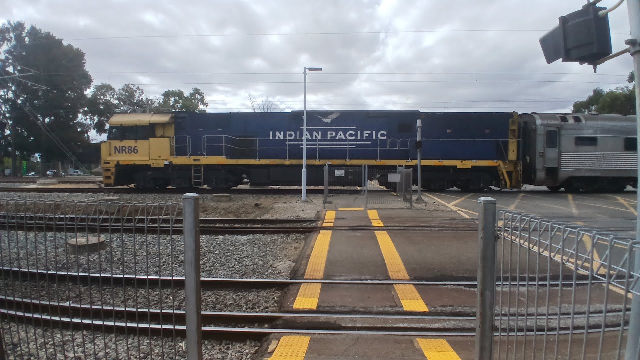 Indian pacific at morrison rd level crossing NR86