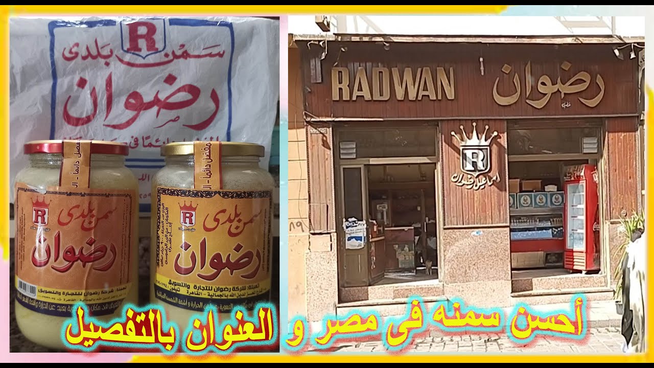 احسن سمنة جاموسى فى مصر كلها منذ الخمسينات والعنوان بالتفصيل وموزعين كمان