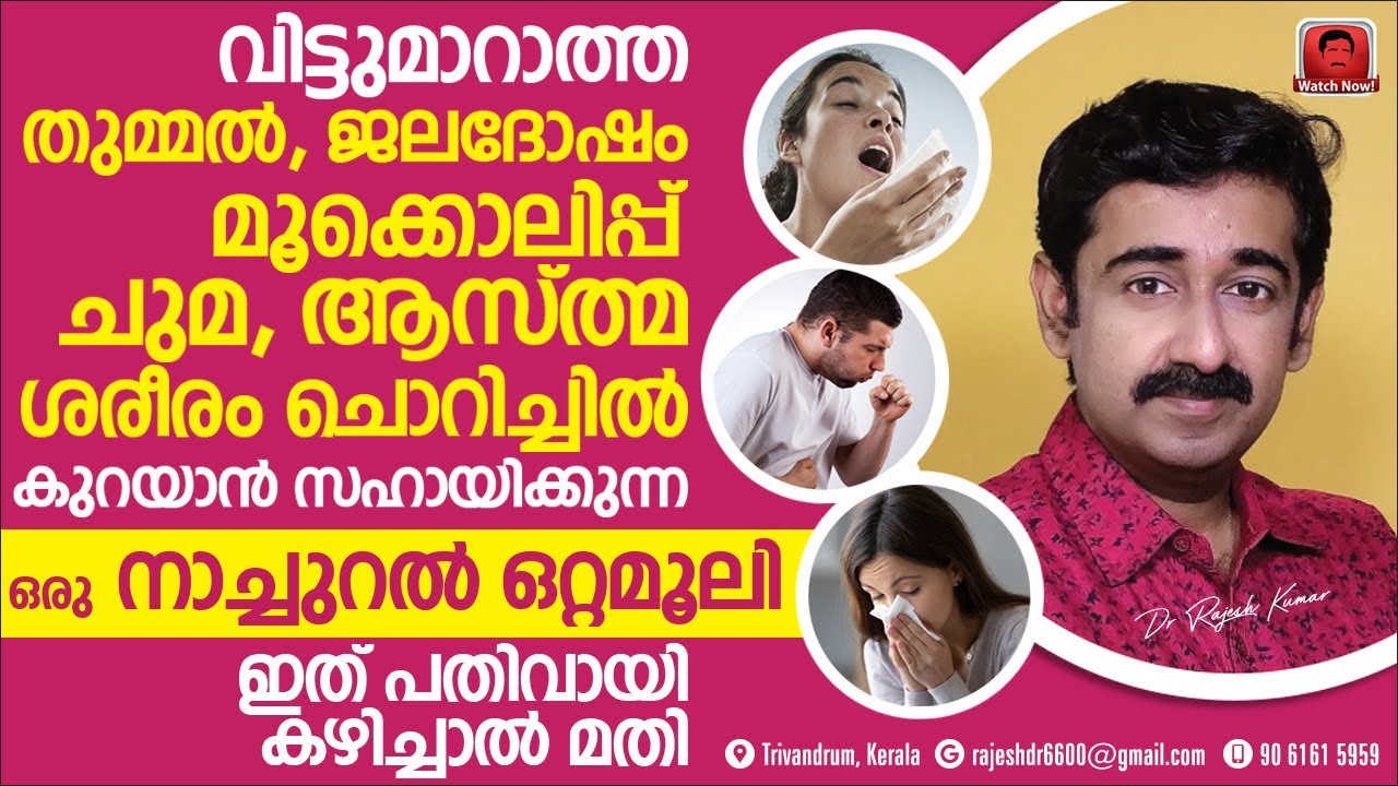 തുമ്മൽ, ജലദോഷം, മൂക്കൊലിപ്പ്, ചുമ, ശരീരം ചൊറിച്ചിൽ, കുറയാൻ ഈ നാച്ചുറൽ ഒറ്റമൂലി പതിവായി കഴിച്ചാൽ മതി