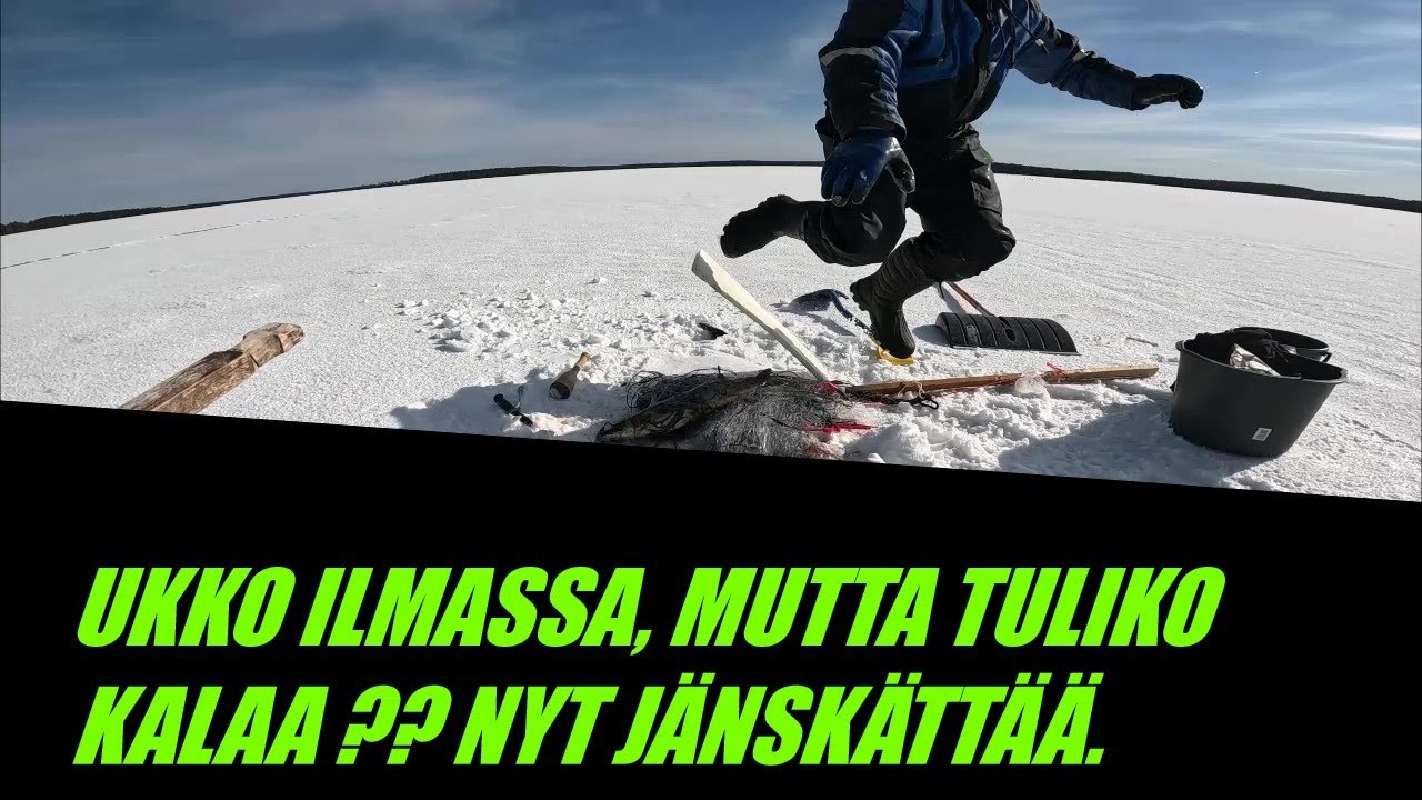 VOI MAHOTON , VERKKOJEN VERTAILU.