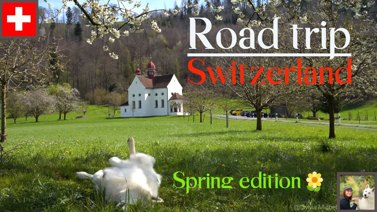 Zug Zugerberg Schwyz road trip Switzerland